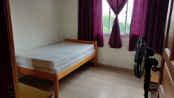 Blk 498L Tampines Street 45 (Tampines), HDB 4 Rooms #426338591